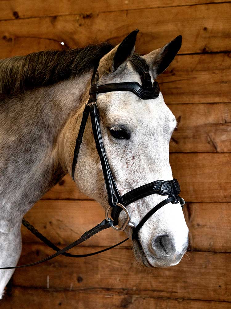 Cobra Snakeskin-Embossed Monocrown Bridle