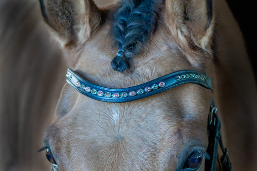 Crystal Bling Browband