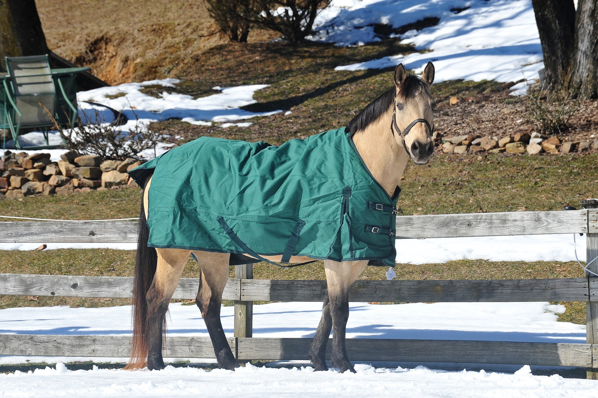 Horse boots, tendon boots, leg wraps