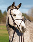 Augusta Figure 8 Bridle