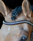 Crystal browband with bling