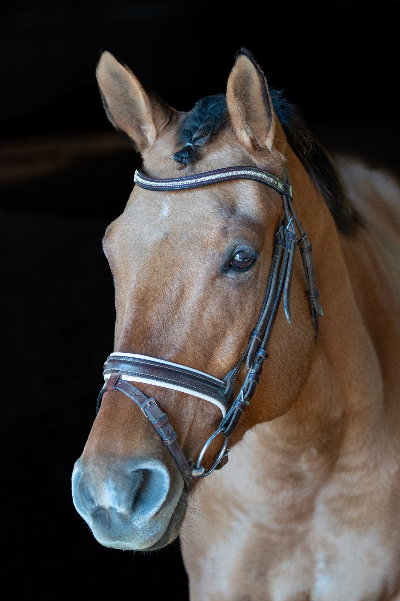 Crystal browband with bling