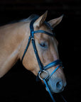 Berlin Dressage Bridle