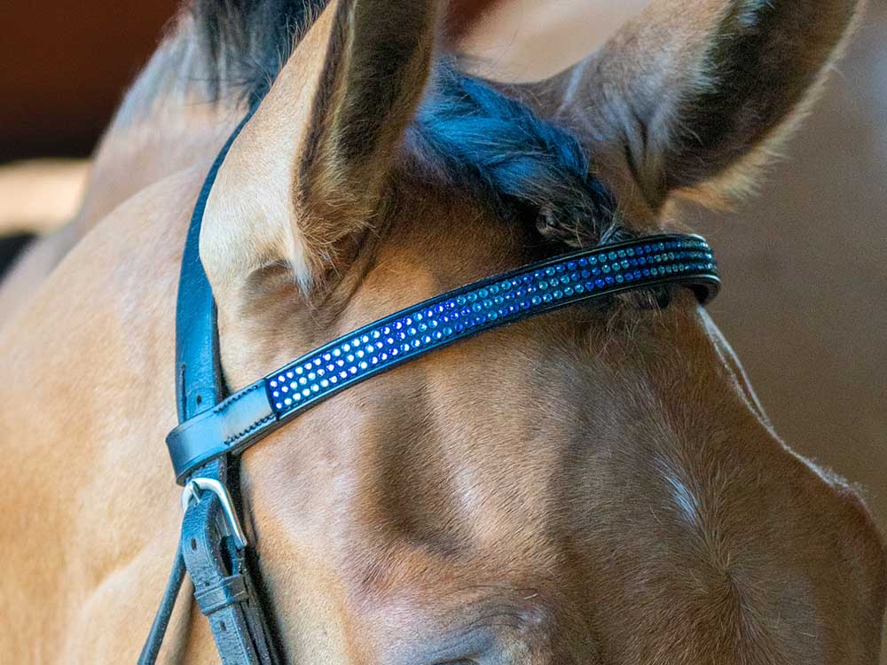 Crystal browband with bling