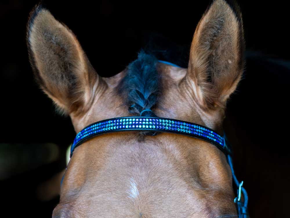 Crystal browband with bling