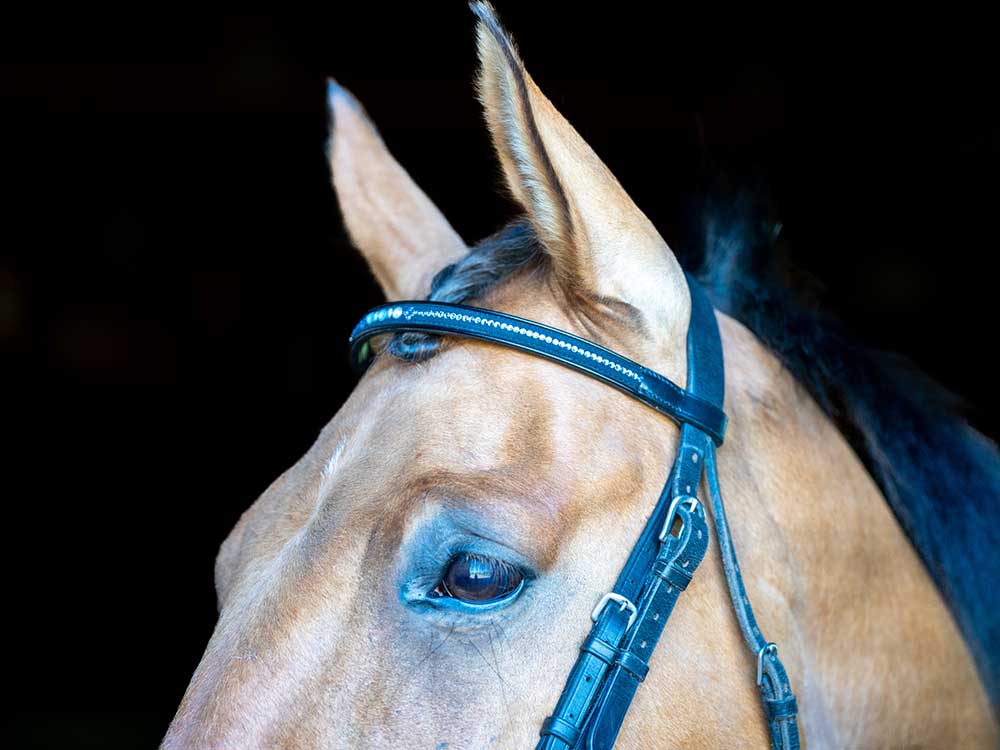 Crystal browband with bling