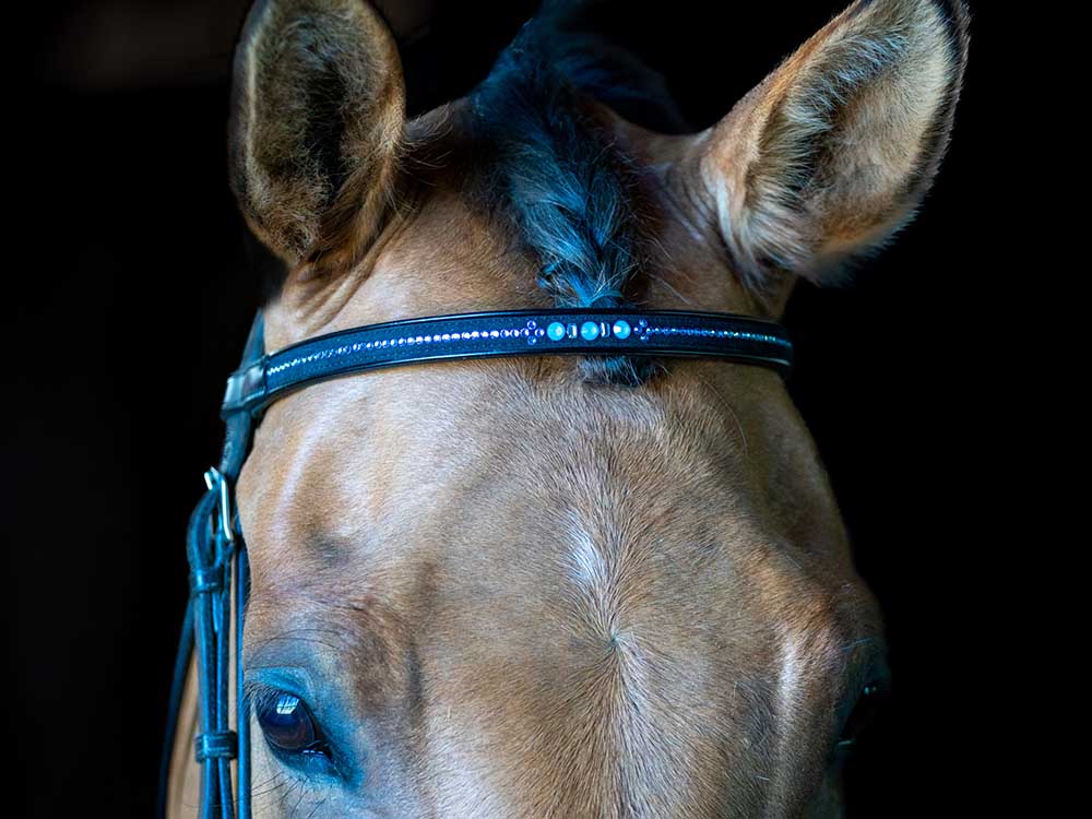 Crystal browband with bling