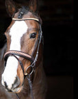 Bonn Beaded Dressage Bridle