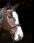 Bonn Beaded Dressage Bridle