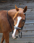 Broadmoor Monocrown Bridle with Accent Piping