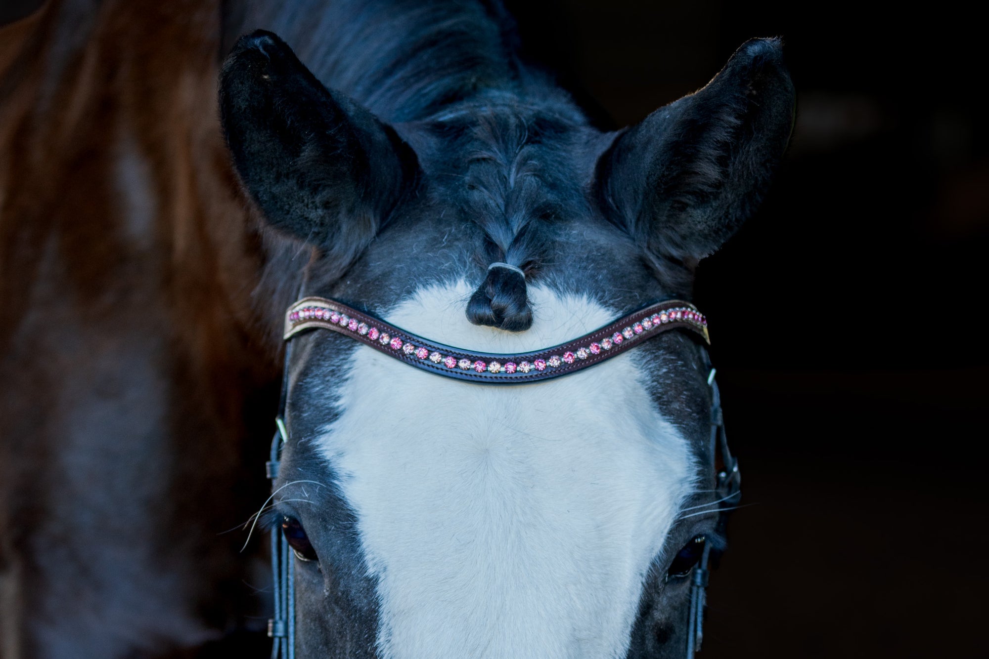 Crystal Browband with Bling