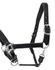 Padded leather horss halter