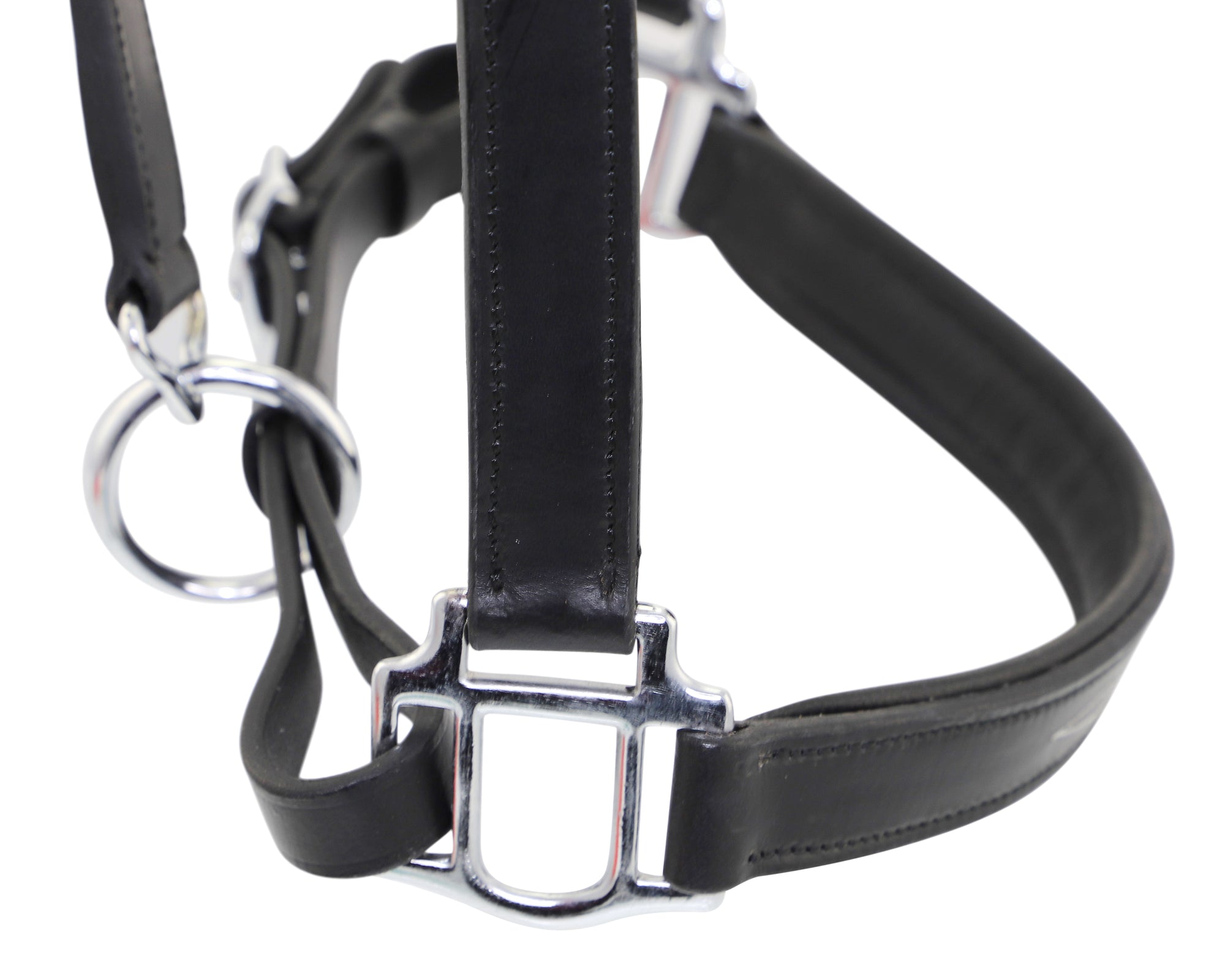 Padded leather horss halter