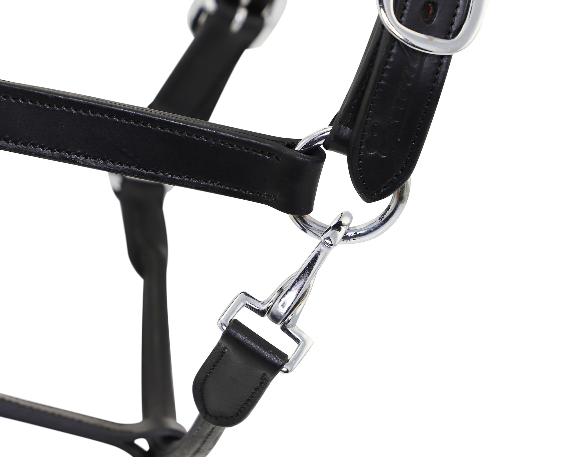 Padded leather horss halter