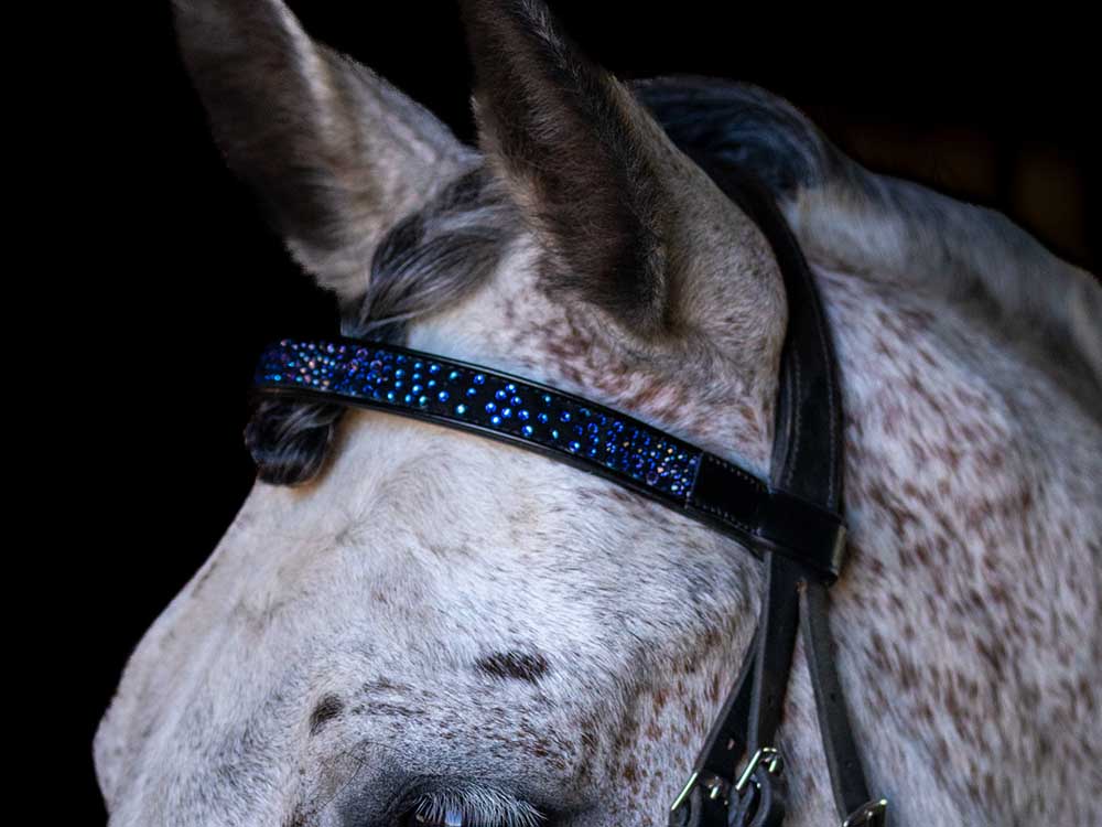 Crystal browband with bling