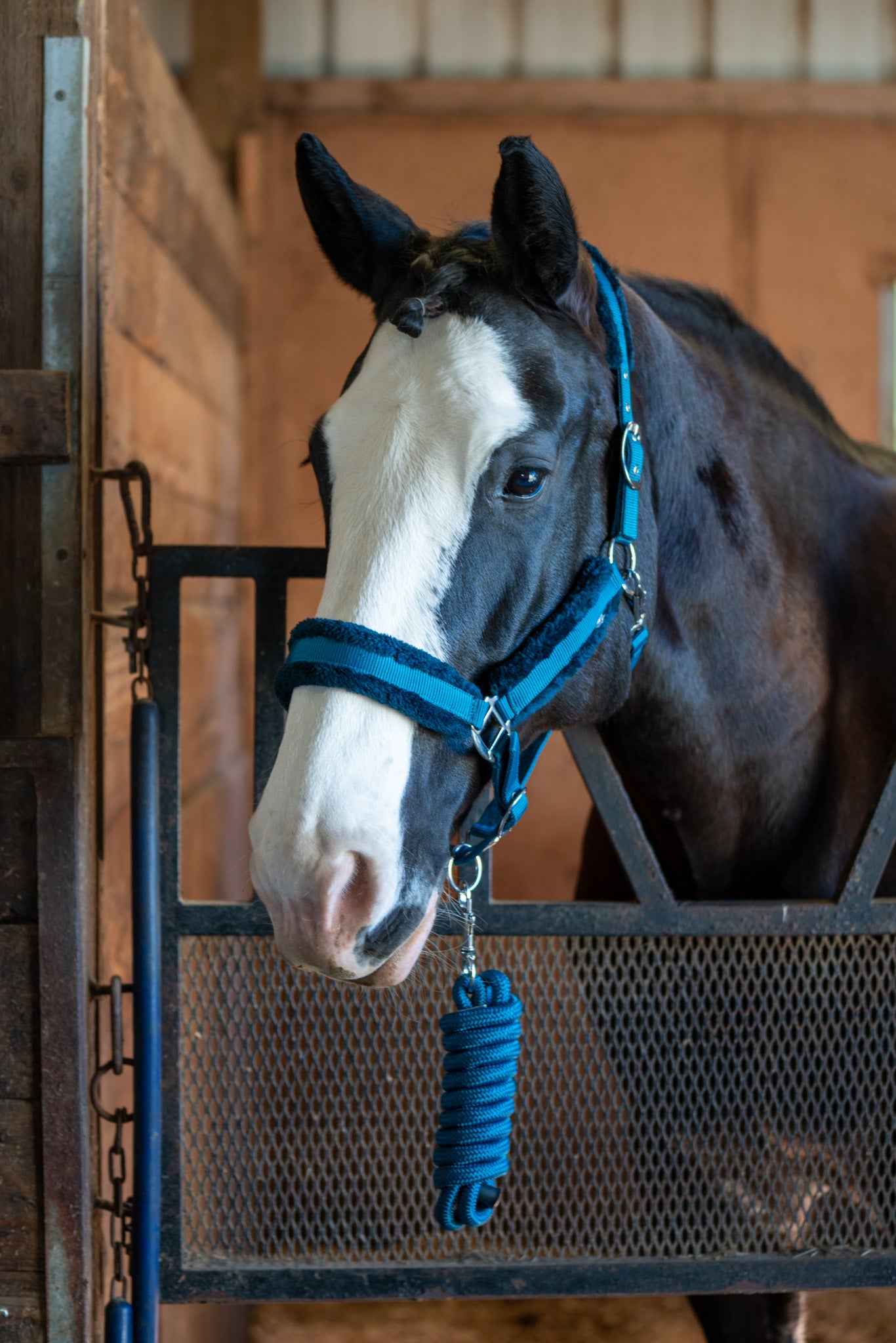 Fleece Lined Adjustable Nylon Halter