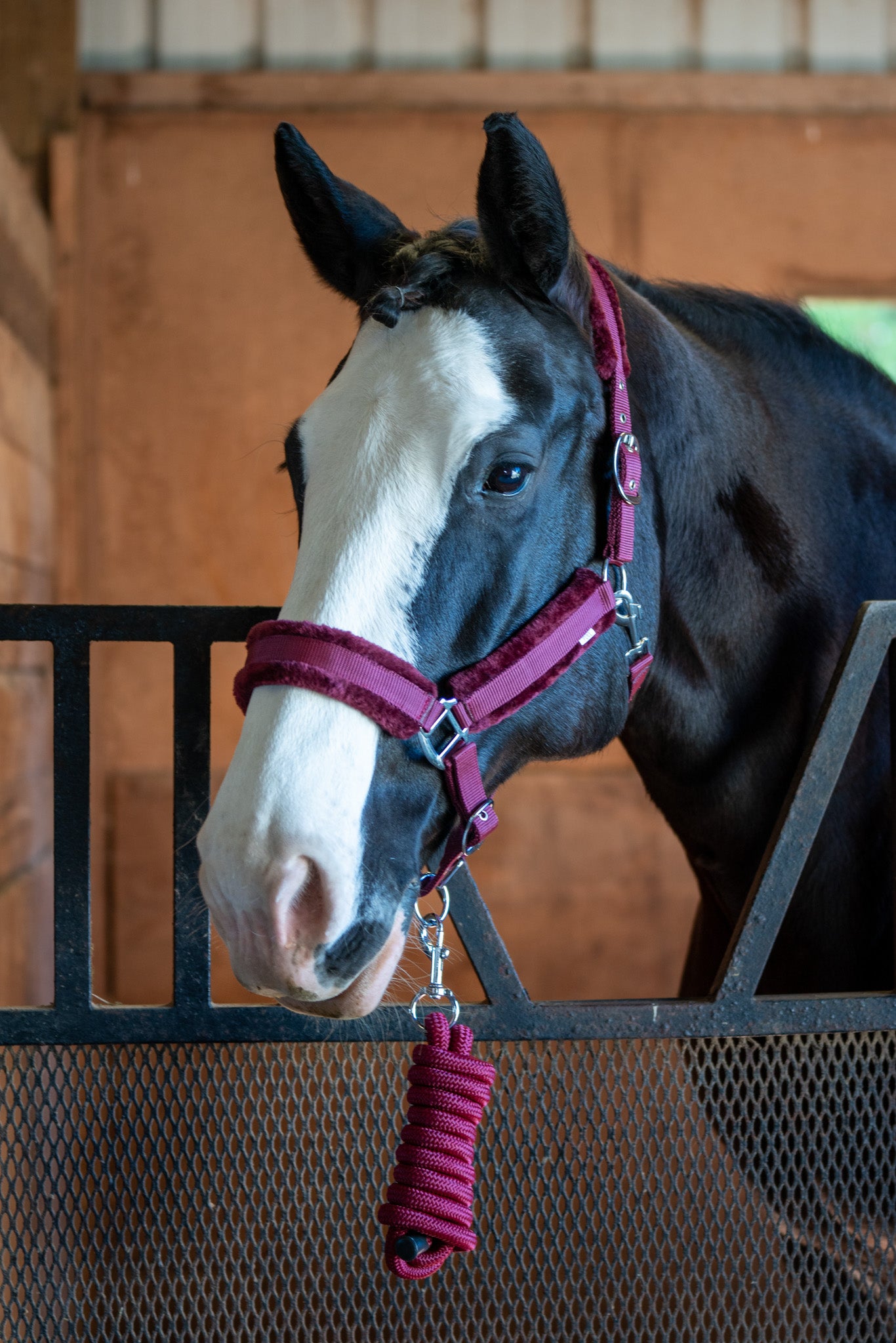 Fleece Lined Adjustable Nylon Halter