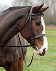 Sawgrass Snaffle Bridle