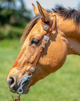 Millsboro - Western Headstall 