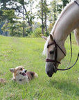 Santorini Snaffle Bridle