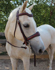 Santorini Snaffle Bridle