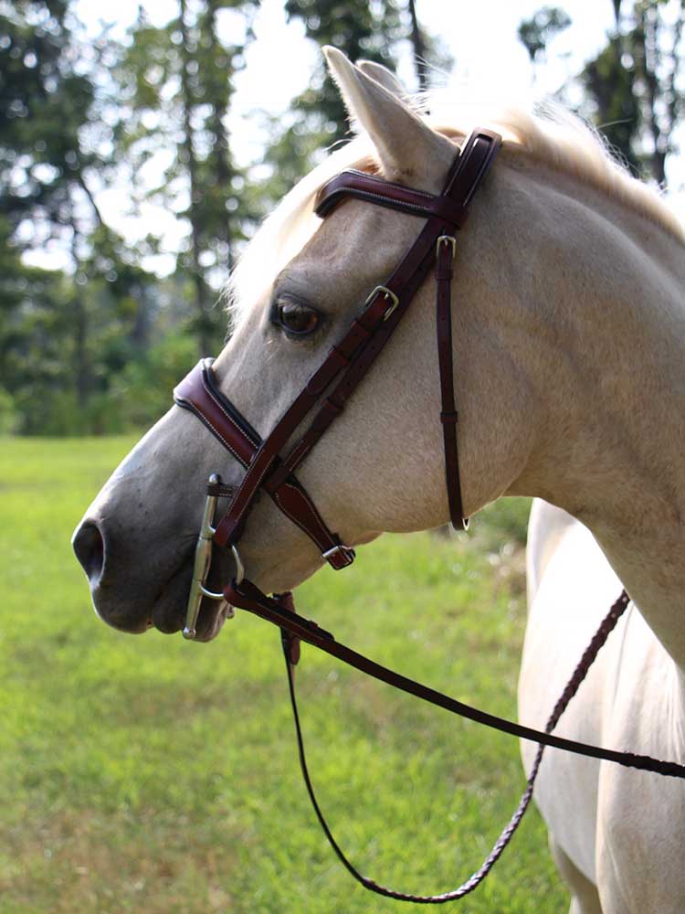 Santorini Snaffle Bridle