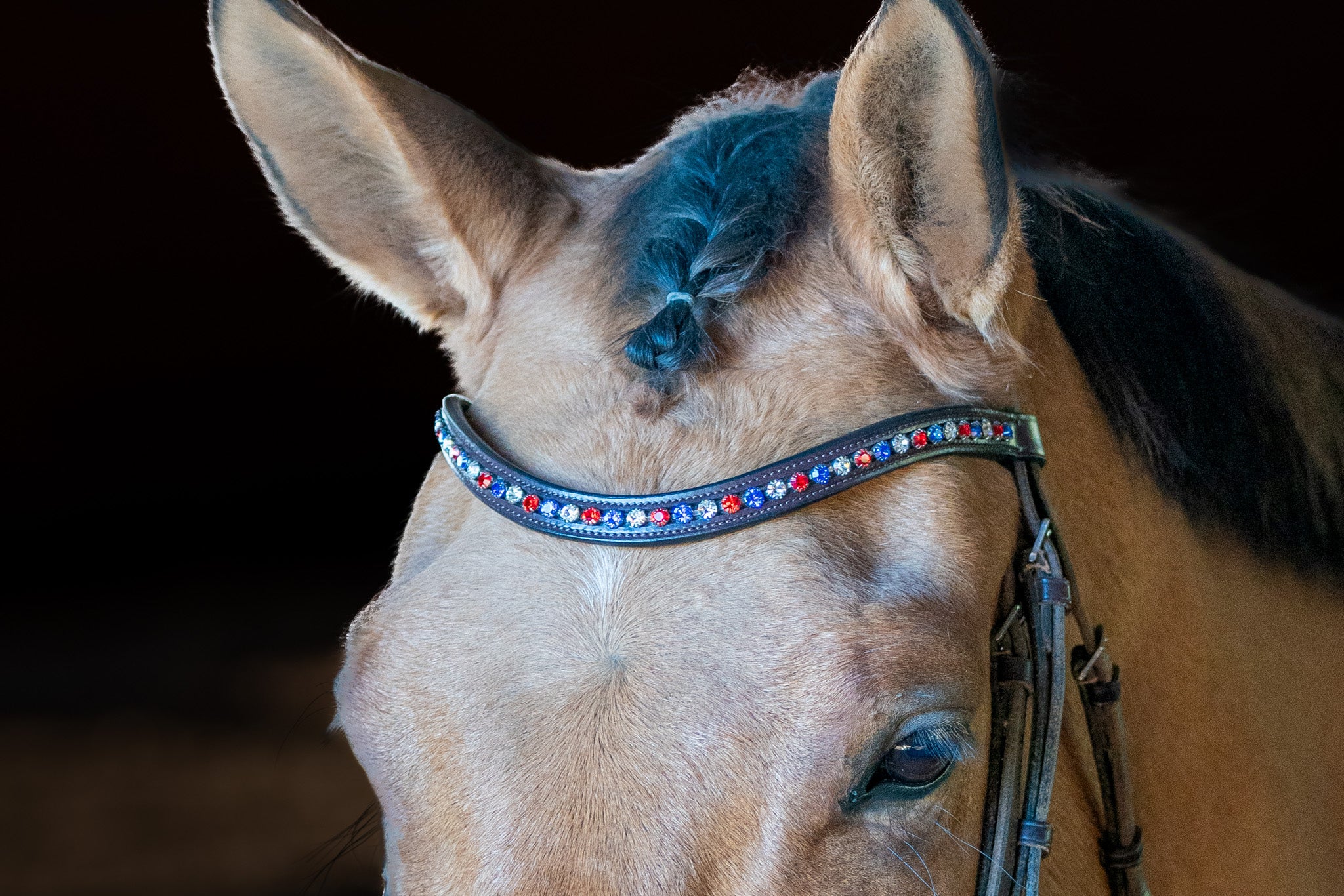 Rose Gold Crystal Browband - English Browband - Western Browband - quick click browband - curved Browband - horse fashion gift