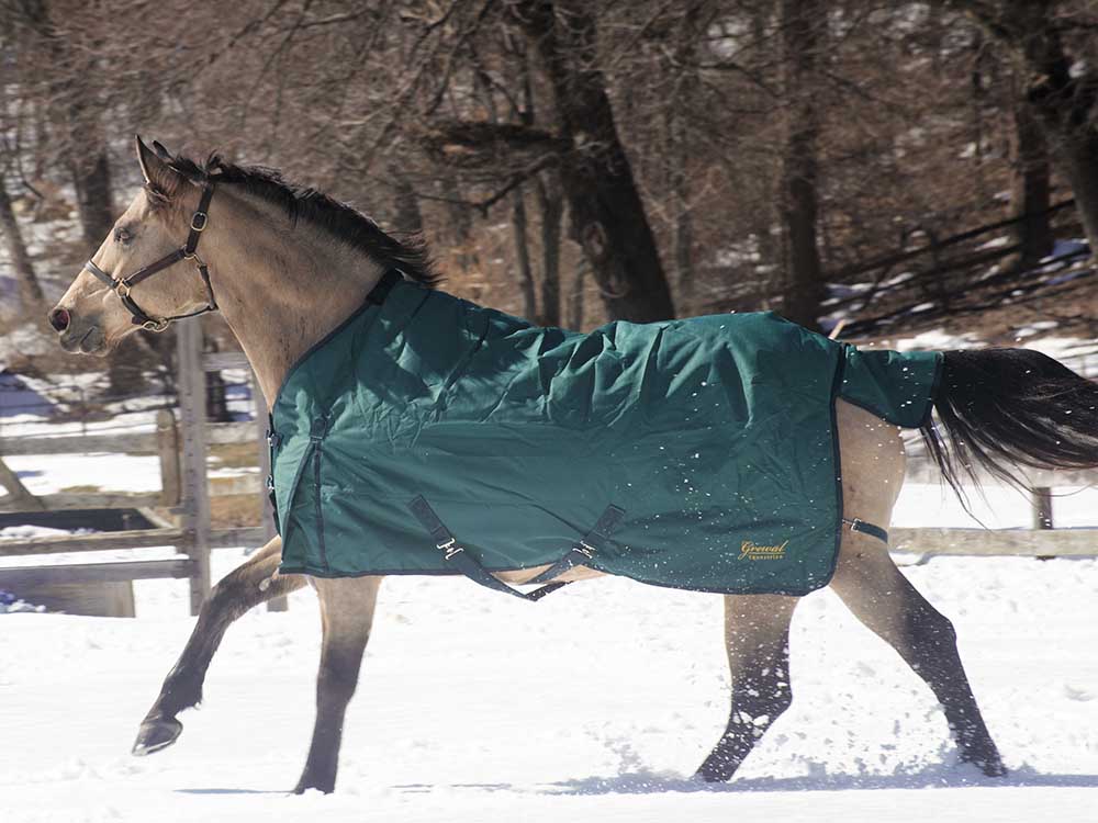 600D Turnout &amp; Stable Blanket