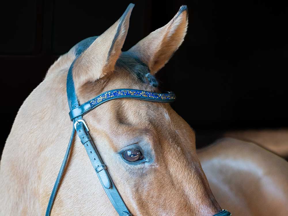 Midsummer Bedazzled Browband