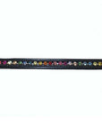 Rainbow Chain Browband