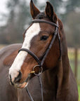 Royal Liverpool Round Raised Hunter Bridle