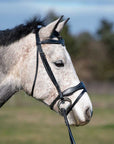 Shadow Creek Padded Flash Bridle