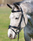 Shadow Creek Padded Flash Bridle