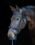 Southport Dressage Bridle