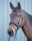 Southport Dressage Bridle