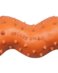 Spikey Snake Rubber Dog Toy