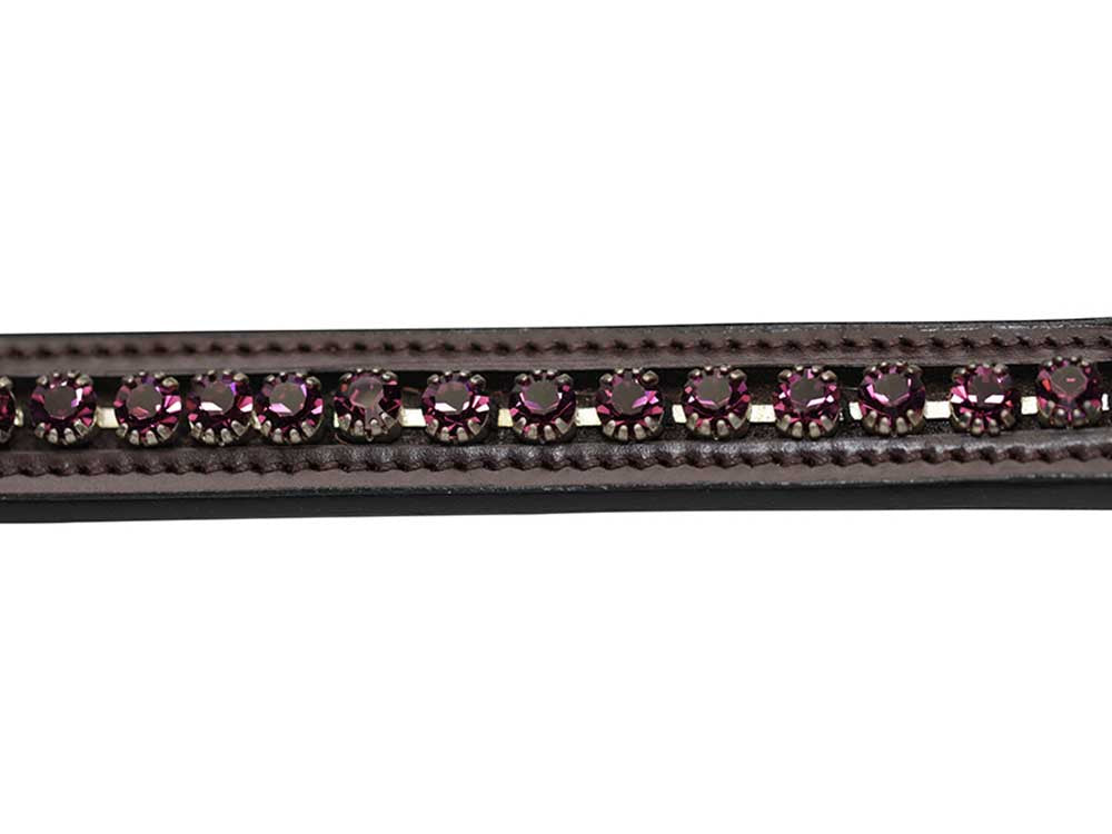 Spring Rose Browband