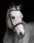 St. Andrews Square Raised Hunter Bridle