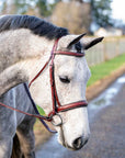 St. Andrews Square Raised Hunter Bridle