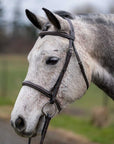 Thornberry Round Raised Hunter Bridle