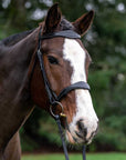 Vogue Scalloped Bridle