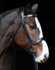 Vogue Scalloped Bridle