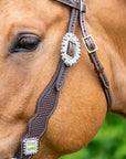 Bristol with Bling - Western Headstall 