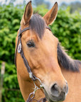 Bristol with Bling - Western Headstall 