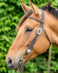 Bristol with Bling - Western Headstall 