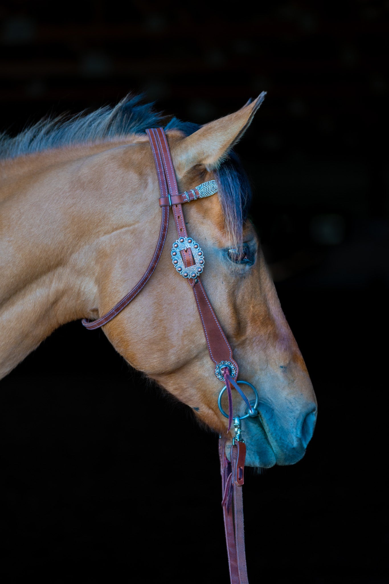 Western Browband Bridle with White Accents #483