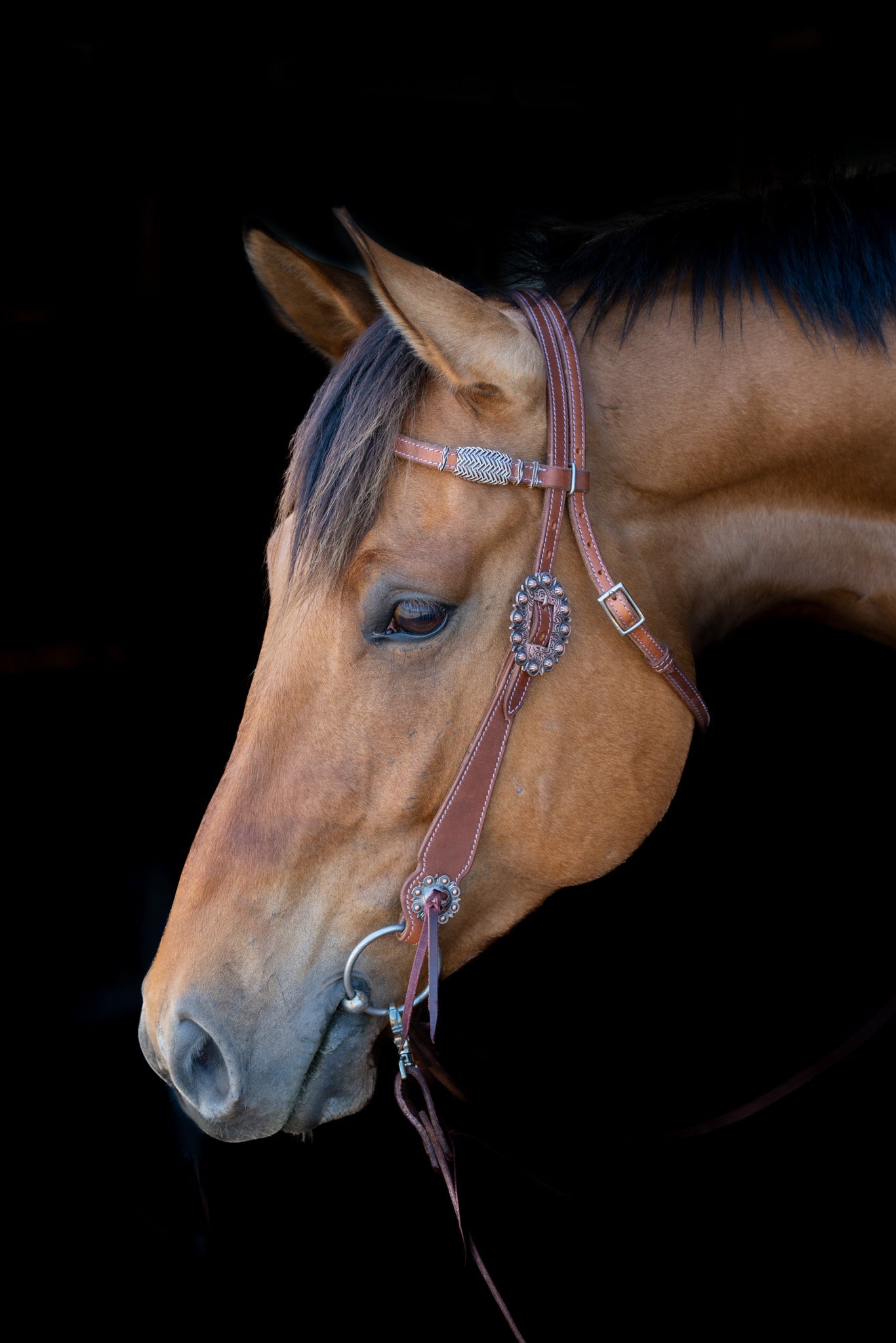 Western Browband Bridle with White Accents #483