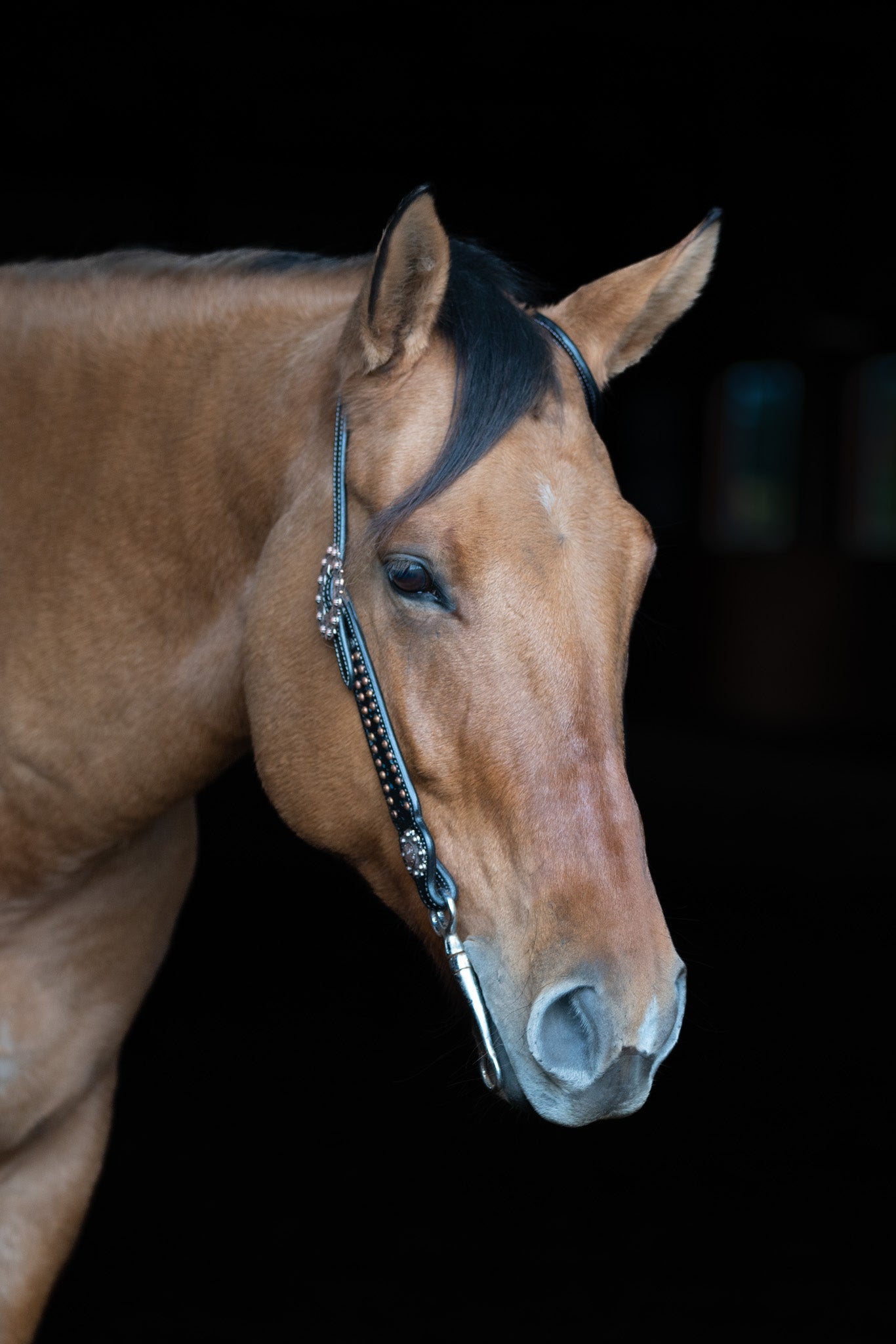 Western Single Ear headstall with brass and blue accents