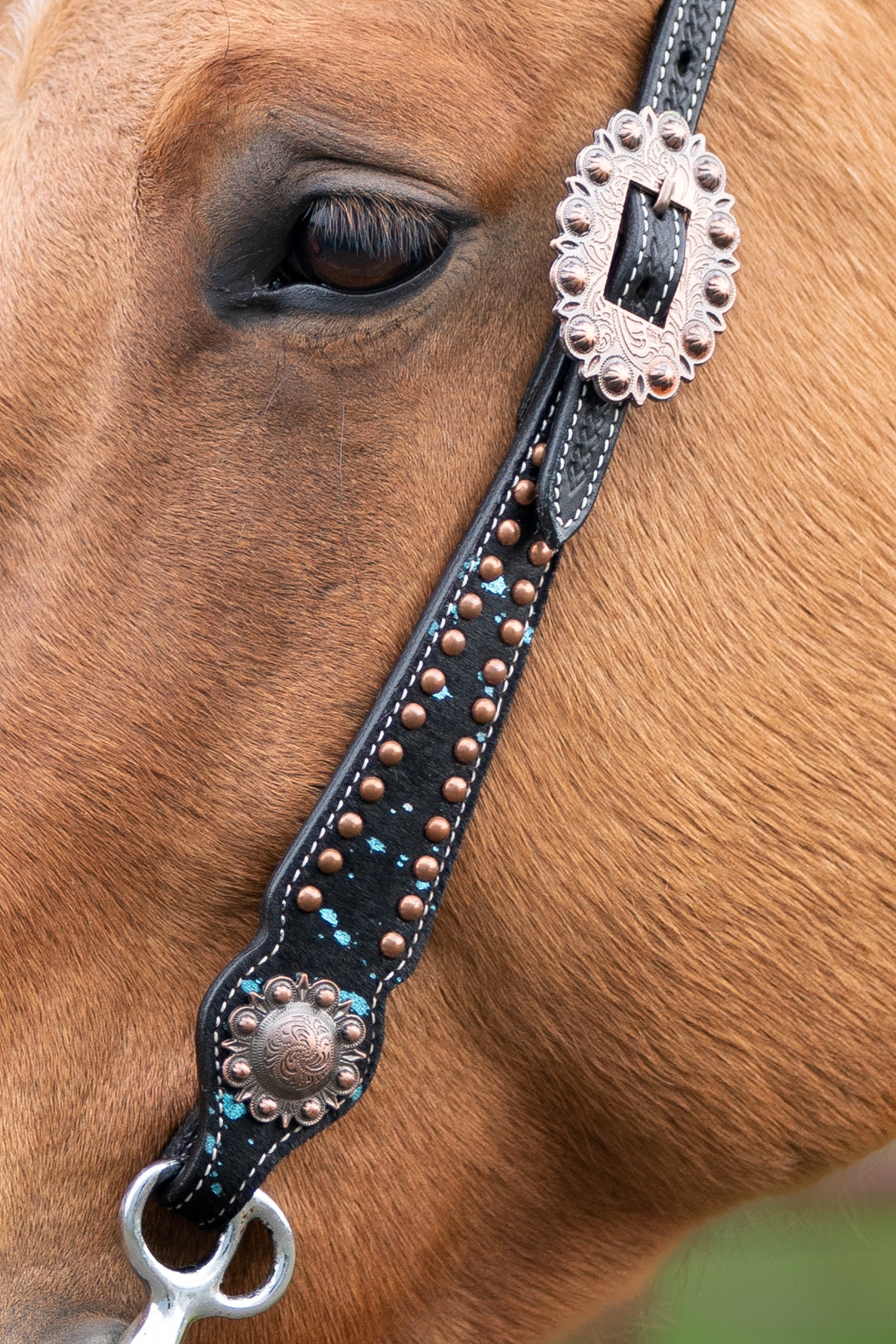 Western Single Ear headstall with brass and blue accents