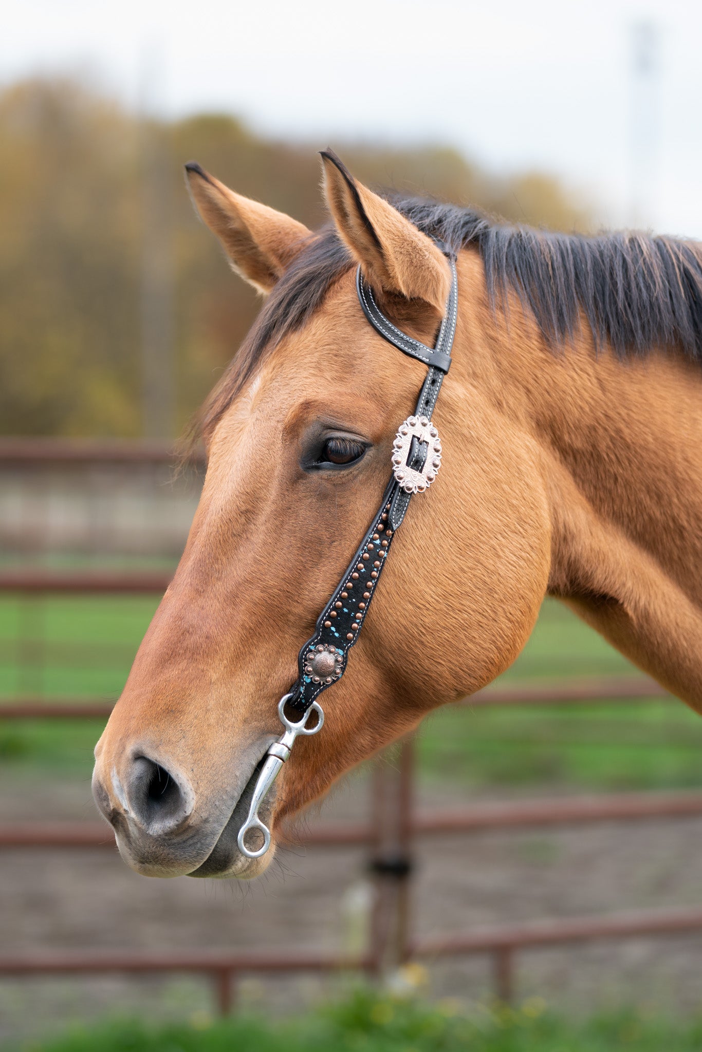 Western Single Ear headstall with brass and blue accents